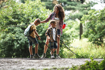 Wall Mural - mother and her little sons hiking trough forest .making fun with wooden sticks.