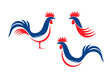 Happy Bastille Day, 14 July. Viva France National Day. French rooster. Isolated rooster on white background