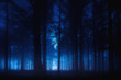 canvas print picture - Blue Forest