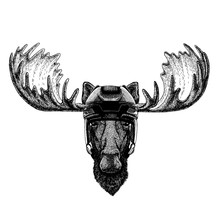 Mooske, Elk Animal Wearing Hockey Helmet. Hand Drawn Image Of Lion For Tattoo, T-shirt, Emblem, Badge, Logo, Patch.