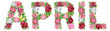 Word April of watercolor flowers for decoration
