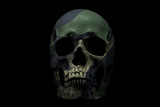 Fototapeta Tęcza - Front side view of human skull on isolated black background. Camouflage color skull