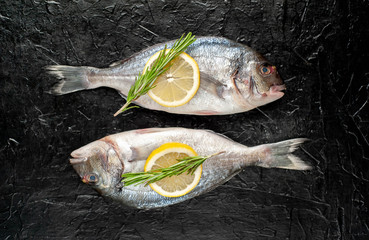 two fresh raw Dorado fish with spices and olive oil on a stone background.