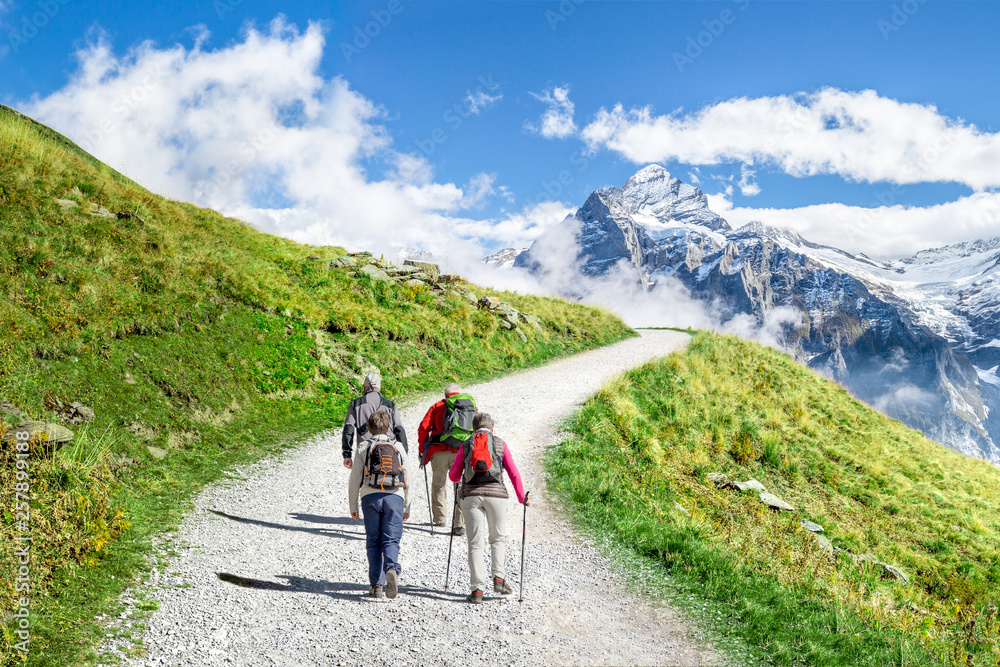 Gruppenreise in die Schweizer Alpen mit Wandertour entlang  den Bergen - obrazy, fototapety, plakaty 