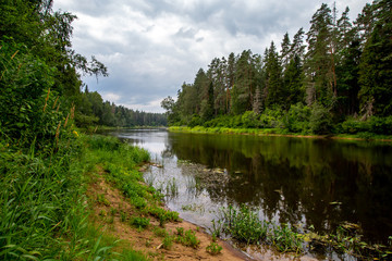 Wall Mural - Landscape with river, forest and blue sky.