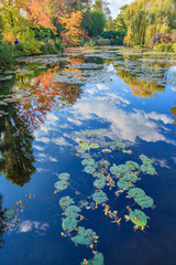 Wall Mural - Water lily pond, Monet garden, Giverny, Normandy, France