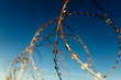 © Westend61 - Part of barbed wire fence against blue sky