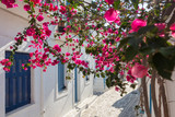 Fototapeta Uliczki - View of a narrow street in old town of Naoussa, Paros island, Cyclades