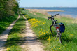 Bike Ride at the Baltic Sea