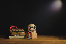 Still Life Painting Photography With Human Skull On Text Book.