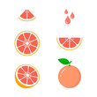 © tatianasun - Grapefruit icon set on white background, vector isolated illustration
