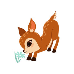 Sticker - Cute little fawn character sniffing flower vector Illustration on a white background