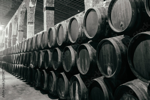 Barrels for whiskey or wine stacked in the cellar Canvas Print