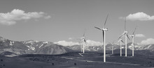 Panoramic View On Wind Farm