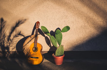 Cactus And Guitar And Sombrero As Mexican Symbols With Palm Tree Making Shadow On The Wall. Cinco De Mayo Concept
