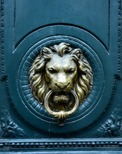 Door Knocke - Lion Head