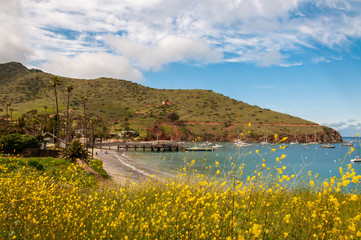 Santa Catalina Island Two Harbors