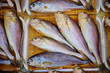 © mnimage - fresh fish in the market