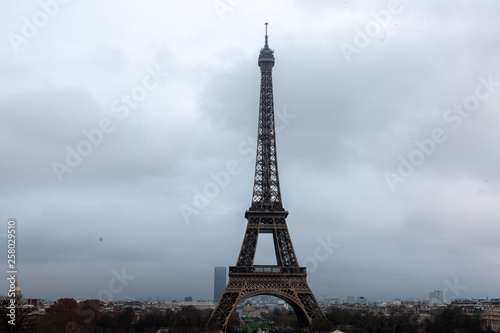 Zdjęcie XXL Widok na Wieżę Eiffla