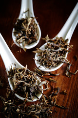 Canvas Print - Dried tea leaves on Chinese spoon