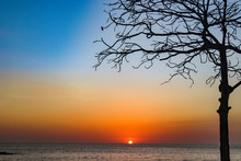 Scenic Sunset At The Beach In Costa Rica With Tree