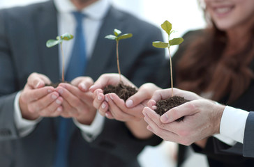 close up. the first shoots in the hands of the business team