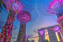 Singapore, Gardens By The Bay, HDR Image