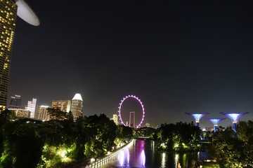 Wall Mural - Singapore, Gardens by the Bay, HDR image