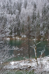 Sticker - Koenigssee in Bavaria