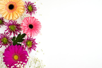 Wall Mural - Bright gerberas on a white background. Multicolored flowers on a white background for design. Gerberas, chrysanthemums and gypsophils for spring and summer mood.