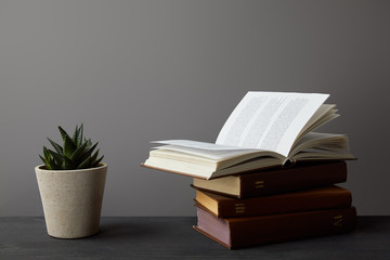 Poster - Plant in flowerpot and books on dark surface on grey