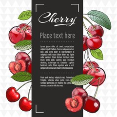 Wall Mural - Cherry fruit vector menu design templates. Vector fruit illustration with hand drawn doodles for greeting card, banner