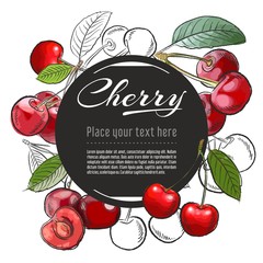 Wall Mural - Vector sketch cherry banner on white background. With place for text. Hand drawn sketch fruit graphic design