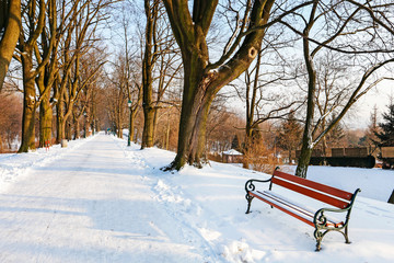 Wall Mural - KRAKOW, POLAND - JANUARY 07, 2017: Benches under the snow in city park