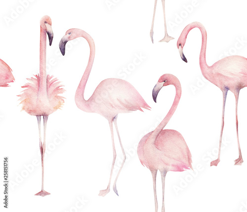 Watercolor seamless pattern with exotic flamingo. Summer watercolour  decorat...