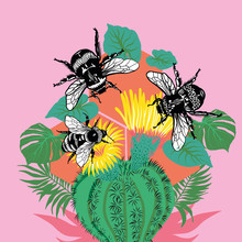 Bees Sitting On Cactus Palnt With Flowers And Leaves On Pink Background