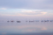 view of boats reflected over the calm sea at blue hour