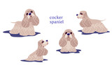 Fototapeta Pokój dzieciecy - Vector illustration of Cocker Spaniel in various poses. American Cocker Spaniel. 