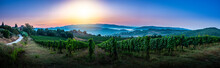 Panorama Of Tuscan Vineyard Covered In Fog At The Dawn Near Castellina In Chianti, Italy