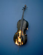 © Rein Janssen - Burning cello
