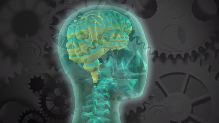 Poster - translucent head and brain rotating