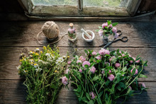 Pink Clover, Daisies And Hypericum Flowers, Mortar, Clover Tincture Or Infusion, Scissors And Jute On Old Wooden Table Inside The Retro Village House. Top View.