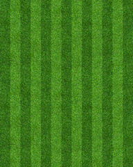Fototapete - Green grass field background for soccer and football sports. Green lawn pattern and texture background. Close-up.