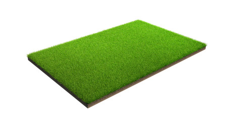 Fototapete - 3d rendering of green grass field isolated on a white background with clipping path. Sports field.