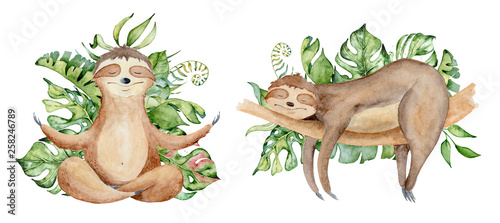 Fototapeta na szkło Sloth bears watercolor set hand drawn illustration with tropical leaves