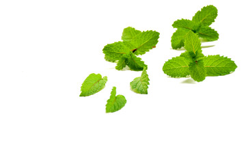 Wall Mural - Mint leaves on white background