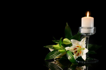 Wall Mural - Burning candle and flowers on black background