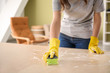 © Pixel-Shot - Woman cleaning table in room
