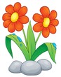 Spring flower topic image 1