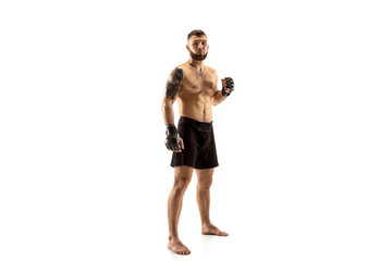 mma. professional fighter isolated on white studio background. sport, competition, excitement and hu